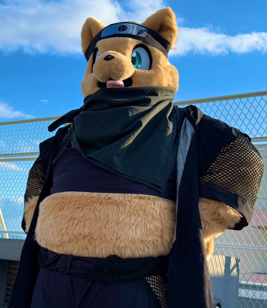 狐川もふ🦊🍶✒/八百十三◇ケモノ系VTuber/小説投稿 (@kogawamofu_V