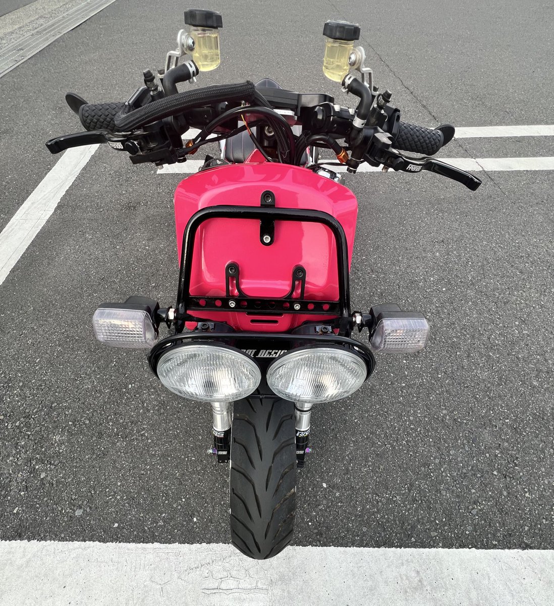 ズーマーって面白い顔してるよね🤭ᩚ