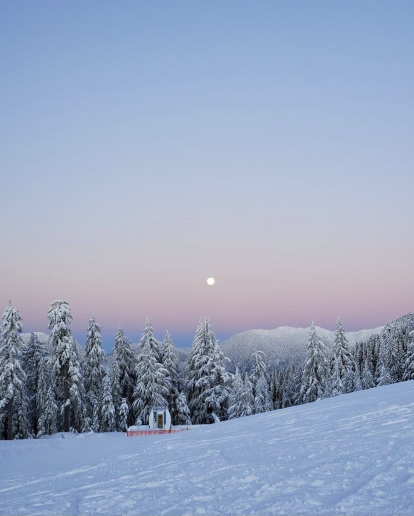 purenature_1's tweet image. Winter beauty ❄️🌞☀️ #snow