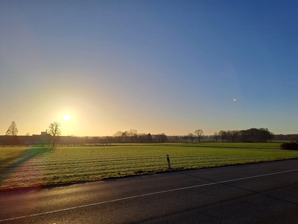Moin 🤗☕️ Donnerstag und die Woche zieht sich, ich hoffe für heute auf Geduld und Verstand, auch der Koala hat es auf die Arche geschafft ... irgendwann mal 🐨 
Ich wünsche Euch einen angenehmen und schönen Tag heute; kommt gut dadurch ☀