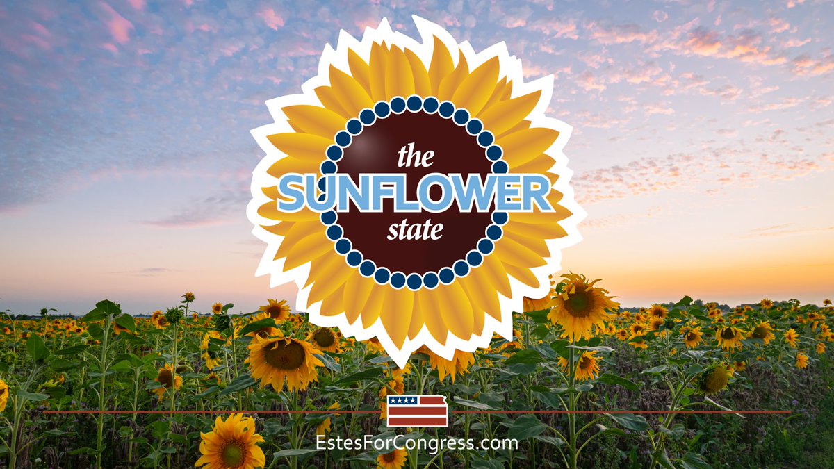 Ron Estes tweet media