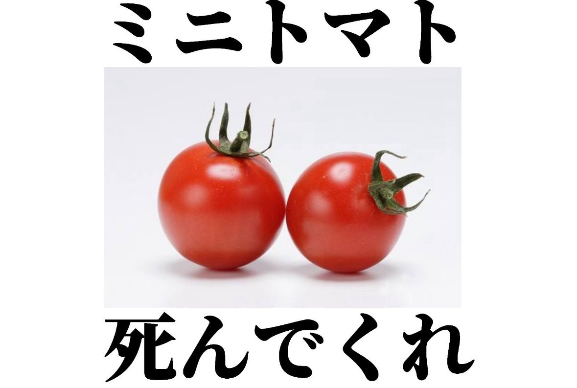 ウチの娘まさにコレや😂