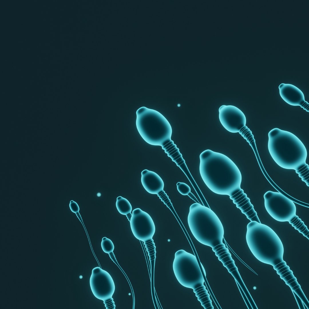 Austin Fertility tweet media