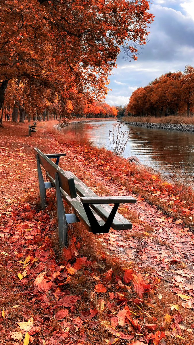 Stockholm 🧡🍂☀️🍁
