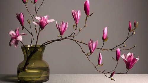 littlenight_sa's tweet image. 「 plot with @arsoncage 」

➤ 𝓕𝓾𝓵𝓵-𝓫𝓵𝓸𝓸𝓶𝓲𝓷𝓰 𝓫𝓸𝓾𝓺𝓾𝓮𝓽 𝓯𝓸𝓻 𝓾𝓼