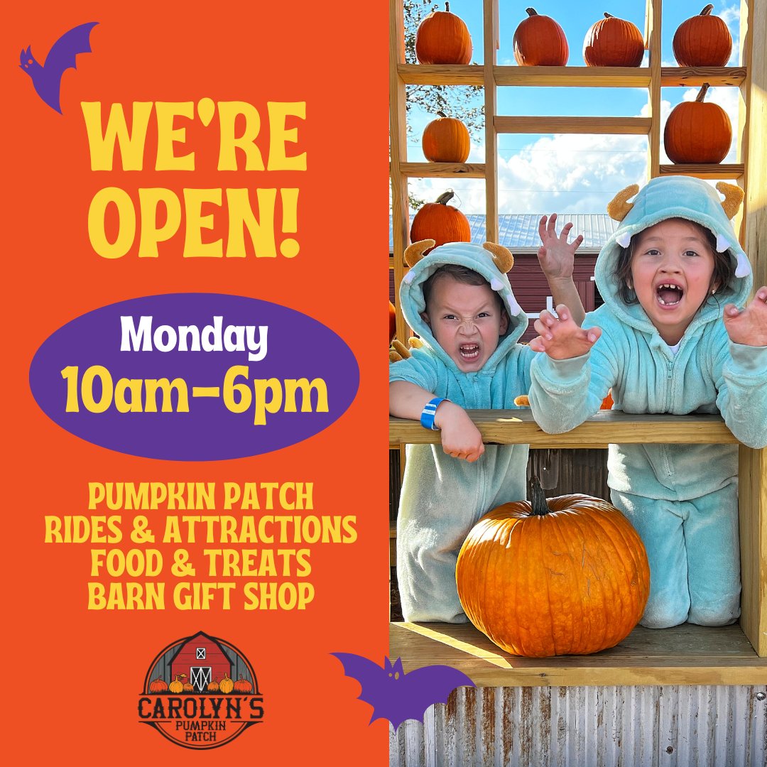YES we’re open today! Get in one last day of fun! We’ll be here from 10AM – 6PM.  You do not need to pay for admission to visit our Gift Shop and pick up those last minute fall items and treats or PUMPKINS!  Discounted tickets available online
