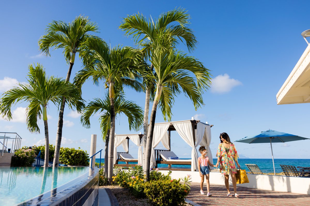 Franny Feliciano tweet media