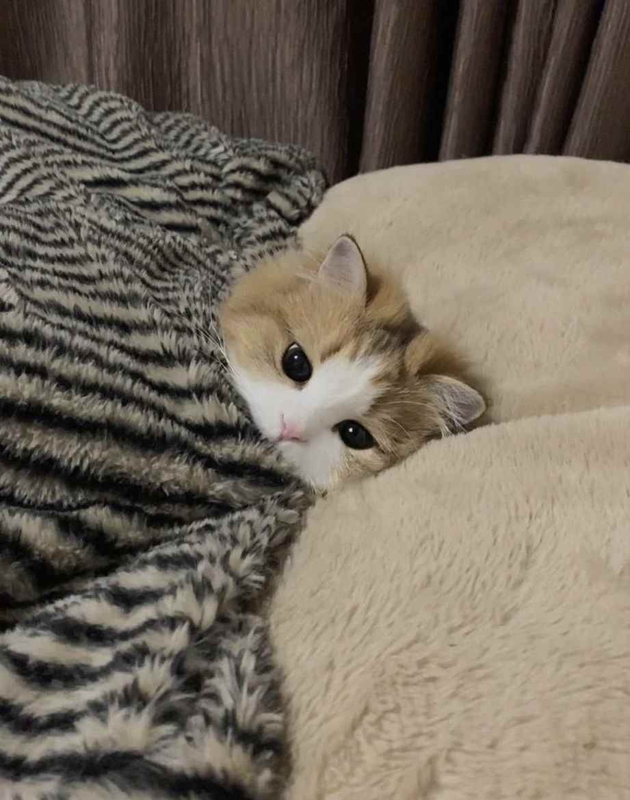 Guess who? It's benoy ghosh