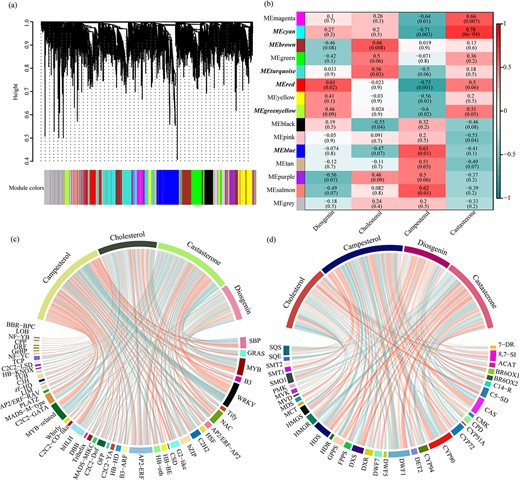 Hortres's tweet photo. Study reveals DG-BR balance in Dioscorea zingiberensis, offering new insights. #BioactiveMetabolites @OxfordJournals
Details:https://t.co/9cKzbk1i5k https://t.co/j2wovWCpbT
