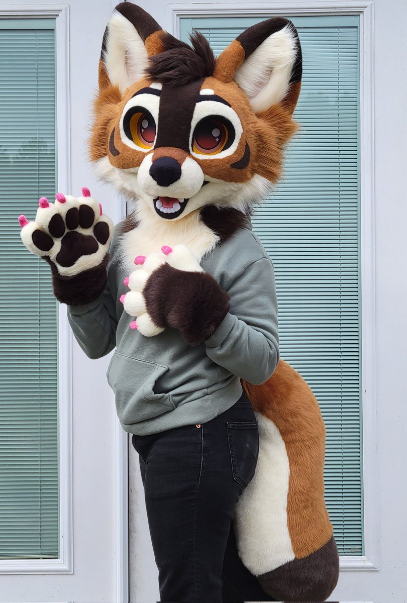 Spareferret Studio tweet media