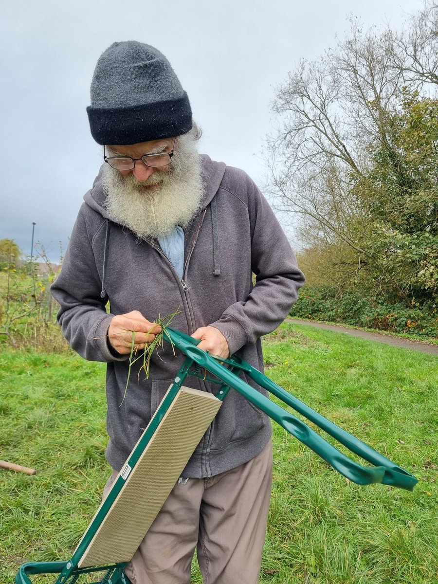 fruitnutvillage's tweet photo. Unfortunately, the #parkin was eaten so quickly that we haven't any photos of it. We did get a lot of work done, though, at #KingdomForestGarden #Stirchley this morning. #STCommunityFund https://t.co/6tlTfLV0gV
