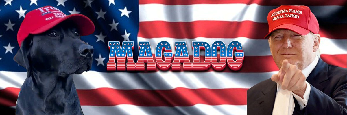 Sudiyasa_'s tweet photo. @JAK855919348870 #MAGADOG made me smile :) https://t.co/MObCWamrgH