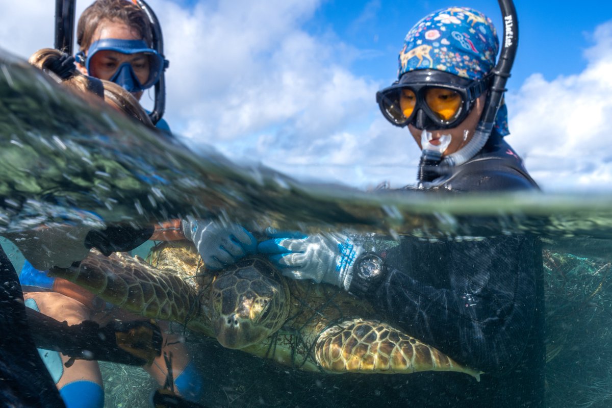 Good news!

A team of 16 from the Papahānaumokuākea Marine Debris Project removed a record-breaking 300K pounds of marine debris from the site.

More on how this effort is saving marine lives &amp; habitat in the Pacific:

noaa.gov/news/marine-de…

@noaadebris <a href="/pmdphawaii/">Papahānaumokuākea Marine Debris Project</a> <a href="/NFWFnews/">National Fish and Wildlife Foundation</a>