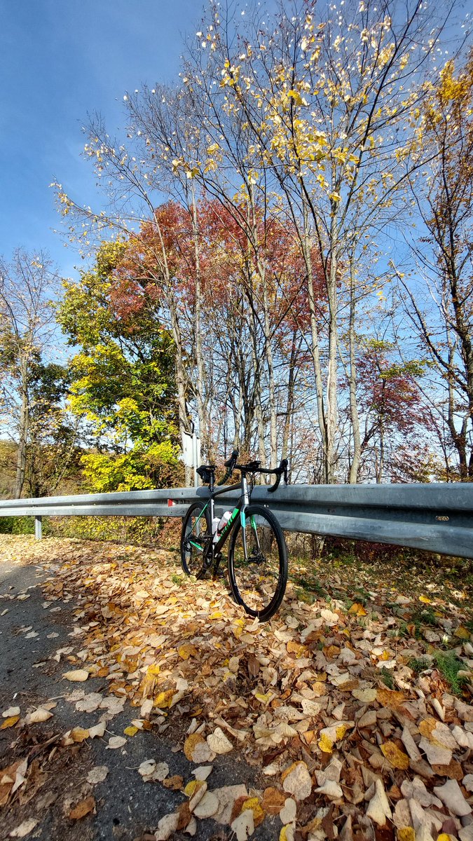 MarkoVCF's tweet photo. Reset ponedjeljkom 🚵🏻 https://t.co/BMaKQwEO1I
