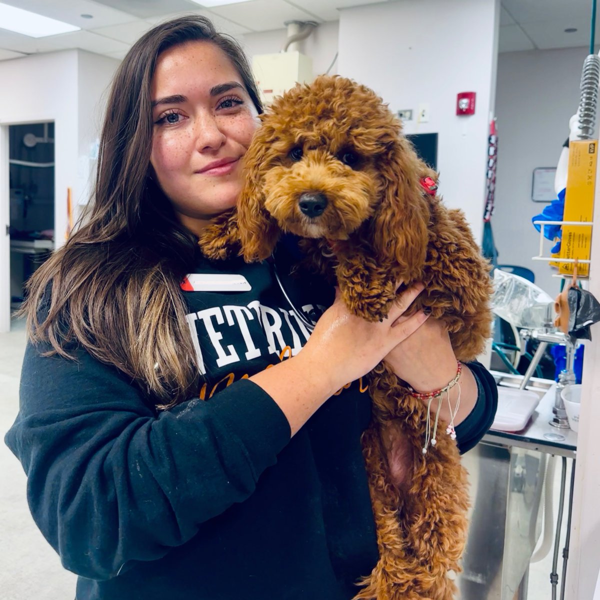 MedDistVetIL's tweet photo. Dr. Angélica Calderón holds seven-month-old mini Goldendoodle Lilah at #MedicalDistrictVetClinic. Aren't they SO cute together?!😍🥰 https://t.co/4xRjnJl5hk