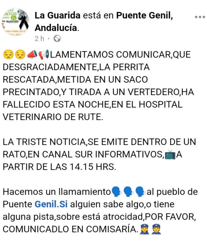 💔💔💔 ACTUALIZACIÓN, la PERRITA de #PuenteGenil #Córdoba ha fallecido 😭.

Al energúmeno/s gentuza que ha hecho esto, que la ha asesinado (es lo que quería) te deseo lo PEOR.