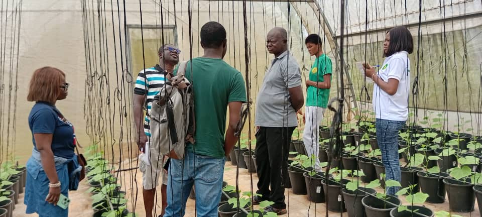 TechsheltaI's tweet image. Our teaching modules bridge knowledge with practice.

Join our training program for an explorative and hands on experience.

#TSTI #training #learning #experience #practicals #knowledge #agriculture #farming #greenghana #sustainability
