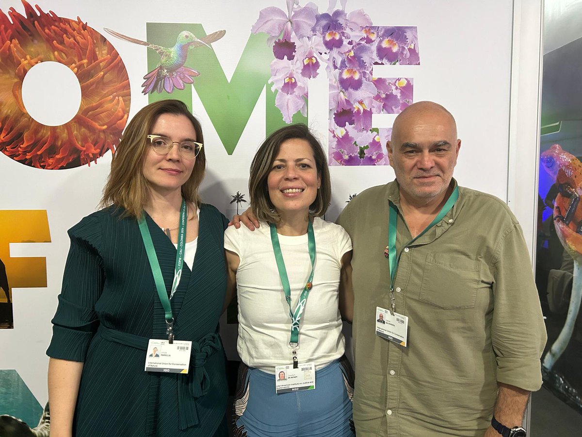 Meso and south america IUCN WCEL focal point <a href="/deWindt_IIJS/">Claudia S. de Windt</a> meeting with regional directors during #COP16