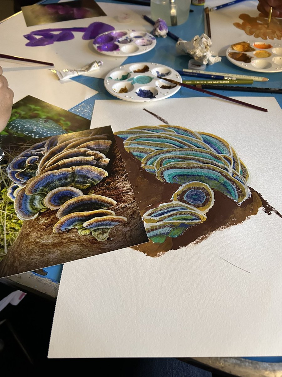 Drawing class #drawing #fungi #funga #mentalhealth #fun <a href="/ArtificioNat/">Enrique</a>