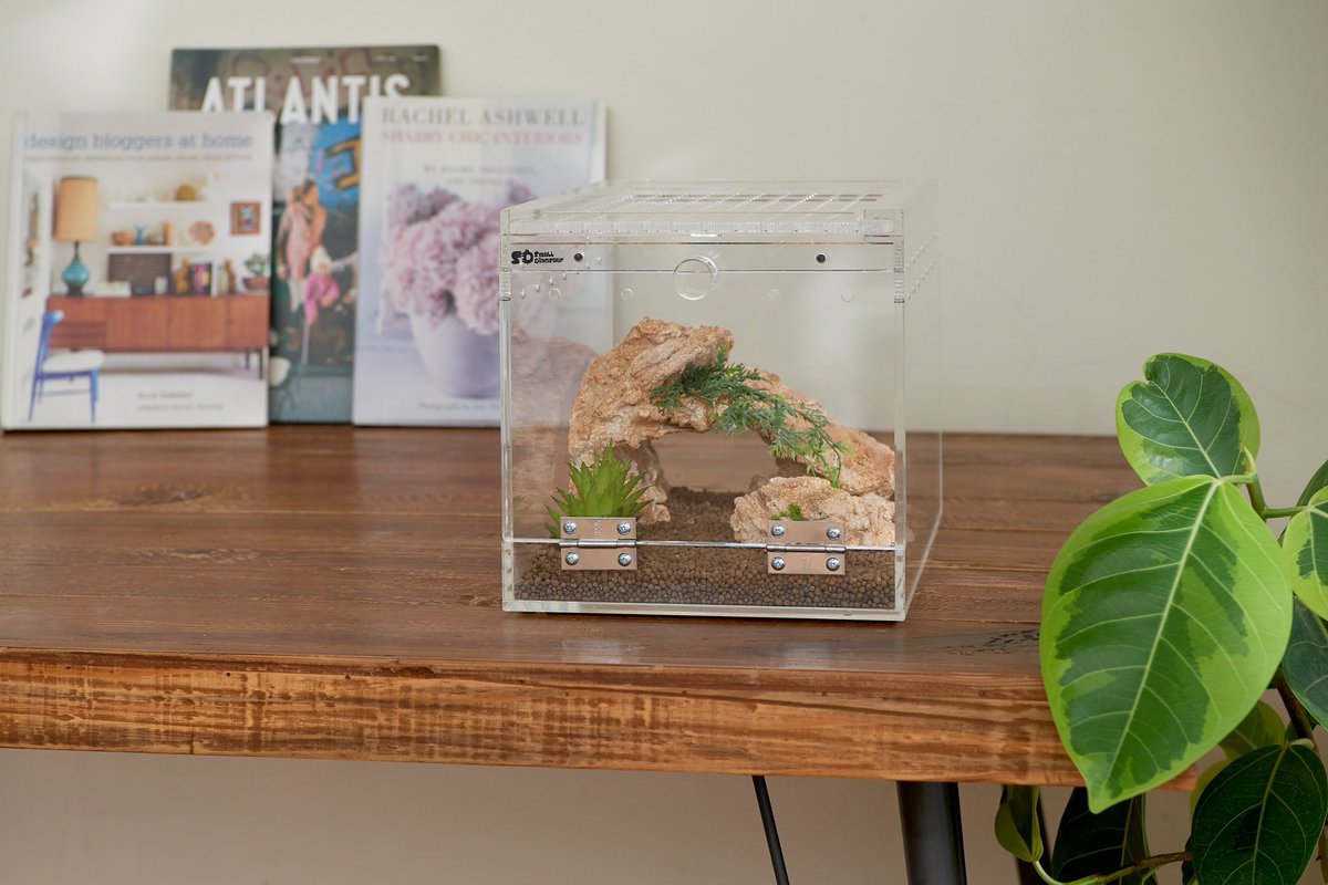 SmallDinosaur爬虫類用品店 (@smalldinosaur_1) / Posts / X