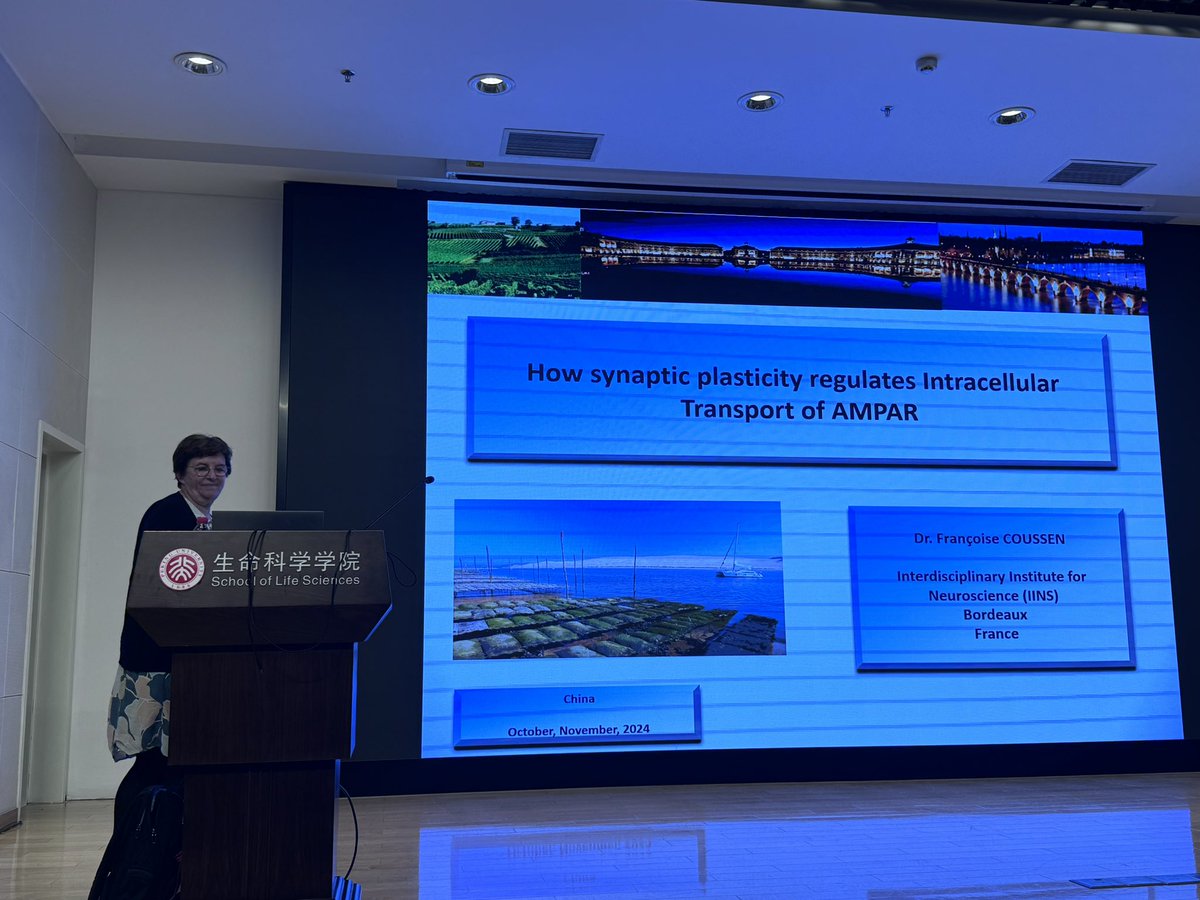 Daniel Choquet tweet media