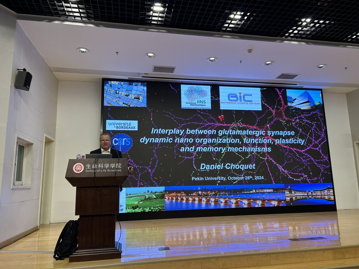 Daniel Choquet tweet media