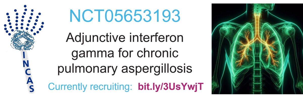 National Aspergillosis Centre - INCAS trial (@nacincas) on Twitter photo Can adjunctive #interferon gamma help patients with chronic pulmonary #aspergillosis? 💉🫁
@Ckosmidis at <a href="/MFT_NAC/">National Aspergillosis Centre</a> is now recruiting participants for INCAS (NCT05653193), a Phse2 study funded by <a href="/NIHRresearch/">National Institute for Health and Care Research</a>
➡️bit.ly/3UsYwjT
#respiratory #copd #immunotherapy #IDtwitter Can adjunctive #interferon gamma help patients with chronic pulmonary #aspergillosis? 💉🫁
@Ckosmidis at <a href="/MFT_NAC/">National Aspergillosis Centre</a> is now recruiting participants for INCAS (NCT05653193), a Phse2 study funded by <a href="/NIHRresearch/">National Institute for Health and Care Research</a>
➡️bit.ly/3UsYwjT
#respiratory #copd #immunotherapy #IDtwitter