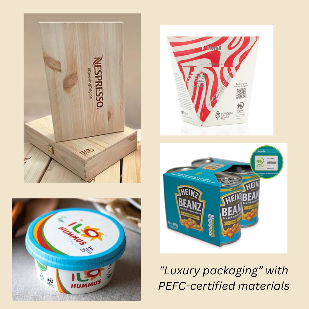 PEFCapac's tweet photo. Did you know that choosing PEFC certified products is a definitive step toward a more sustainable future? At PEFC, we are committed to protecting forests both locally and globally through our robust certification programs https://t.co/FztwUP8z6W
