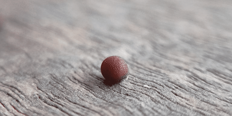 🟠 George tweet media