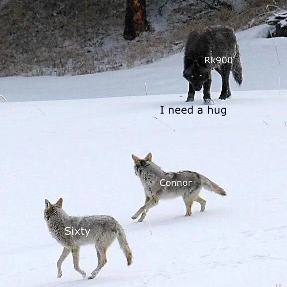 Apluckedturkey's tweet photo. #dbhsixty #rk900 #connor #dbhconnor #dbh https://t.co/tXpeIOGCg1