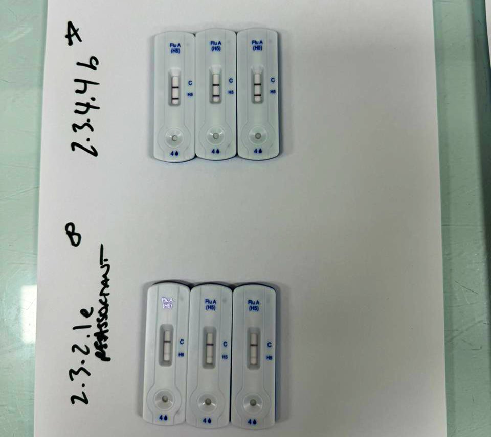Evaluation of two H5 specific antigen tests 🇰🇭 #avianflu