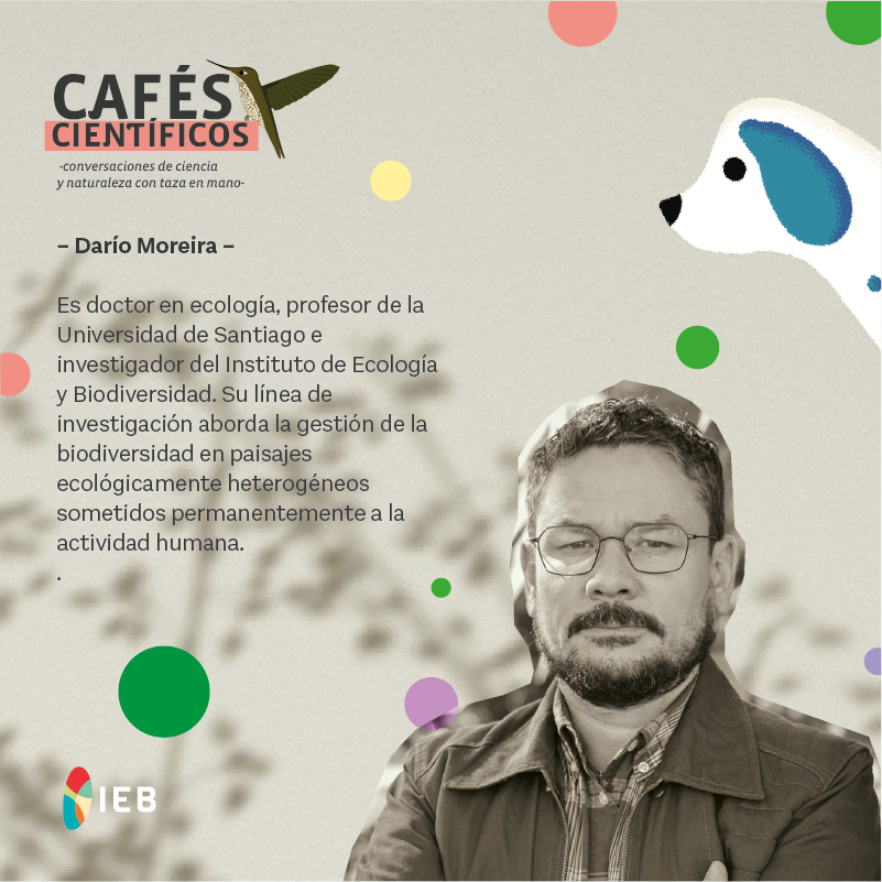 IEBChile's tweet photo. ☕️Este miércoles 30 a las 19 hrs, tendremos un nuevo #CaféCientífico sobre el dilema de los #perros asilvestrados, y el impacto de estos animales en la #naturaleza. Junto a Darío Moreira, investigador #IEB y @usach, y Nélida Pohl. https://t.co/gitMRphRGa