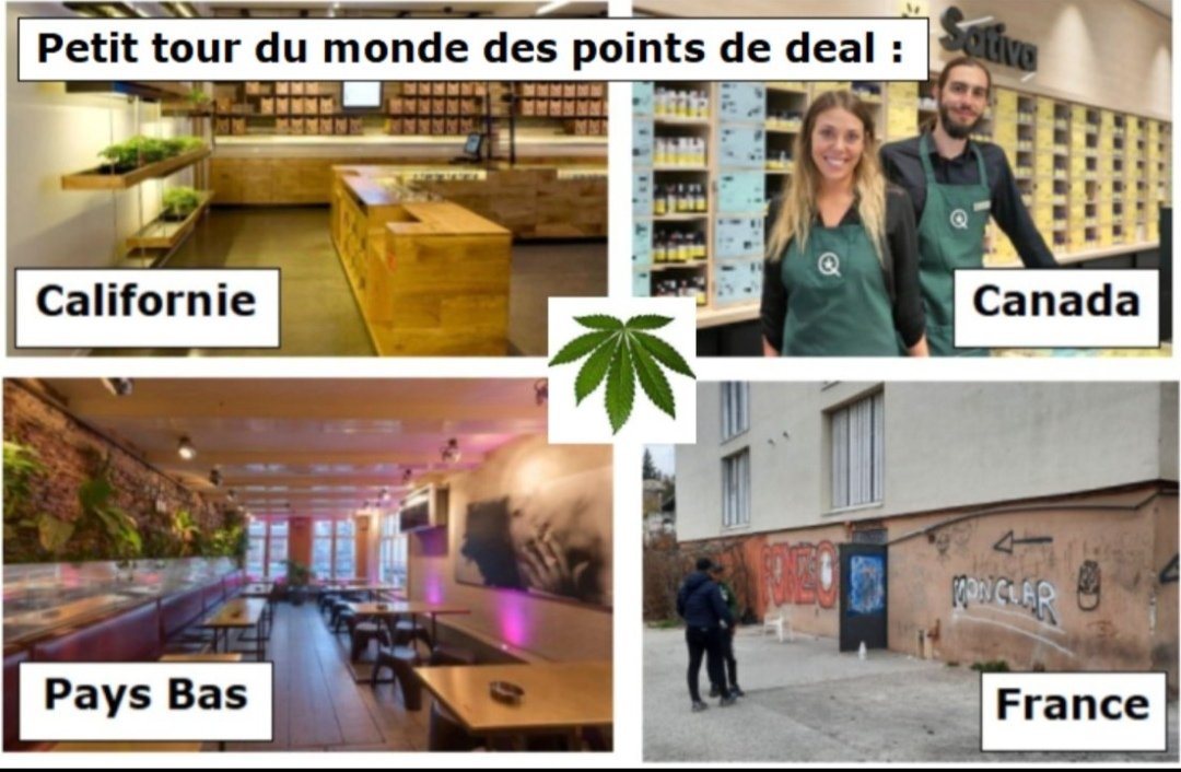 order_back's tweet photo. @sebchenu @LCI RIDICULE, INTELLECTUELLEMENT FAIBLE ! https://t.co/Fzy4MumtHd