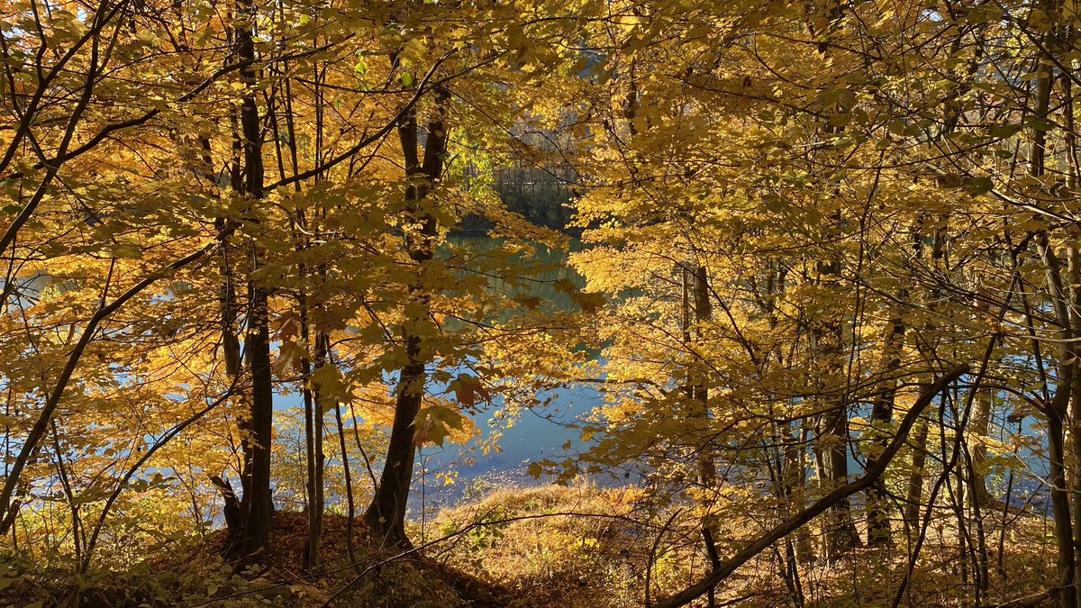 You can’t beat the views along the Mon River Rail Trail.  #Morgantown <a href="/WVtourism/">West Virginia Tourism</a>