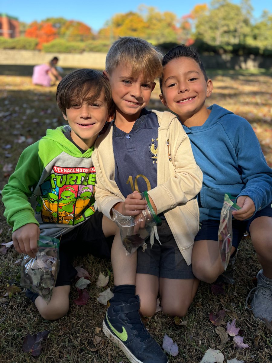 Washington Drive tweet media