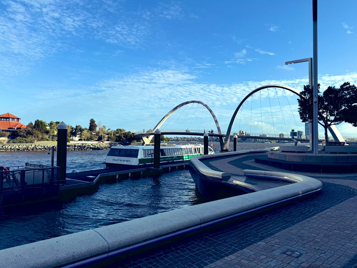 Julie J. Paik tweet media