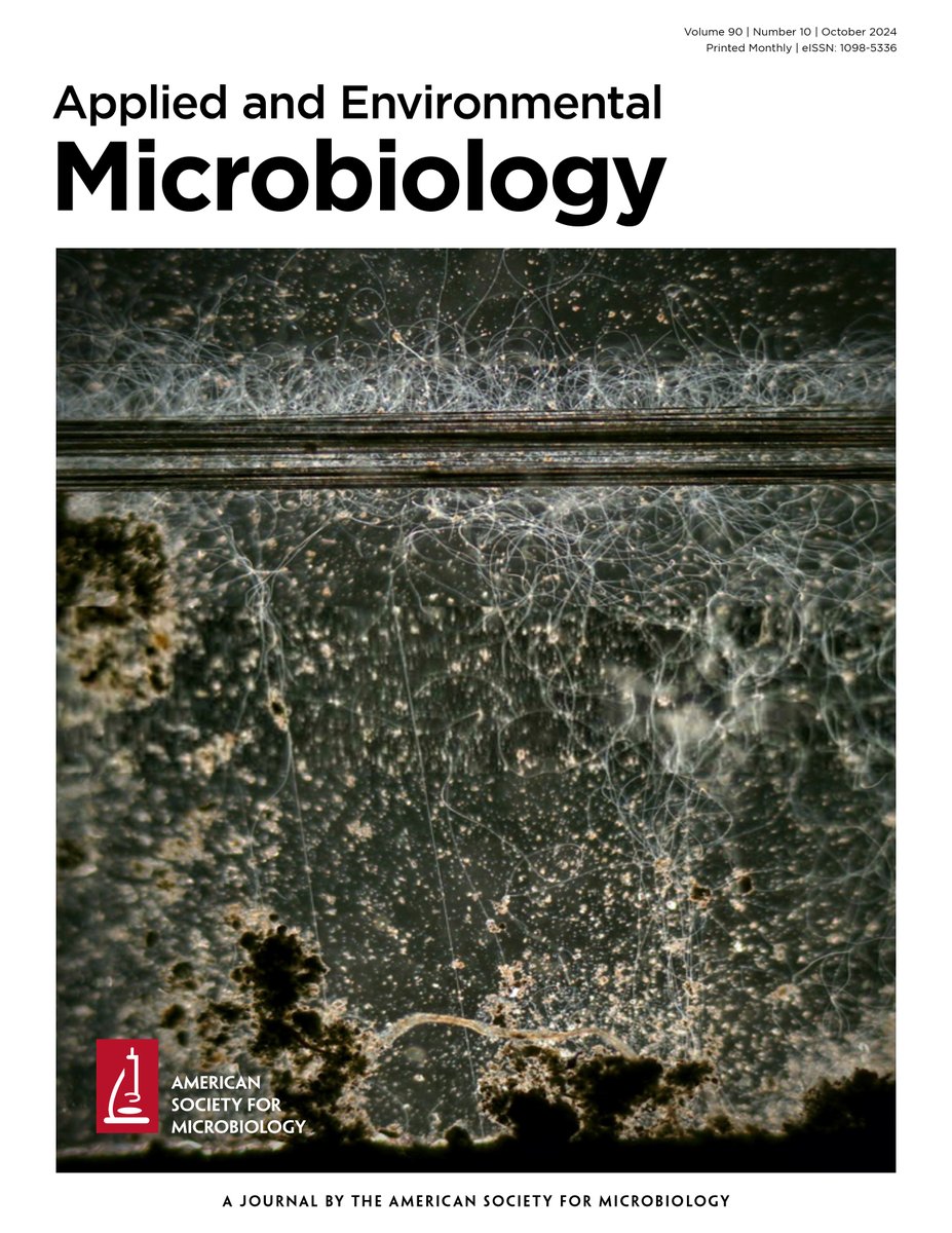 AppEnvMicro journal (@appenvmicro) on Twitter photo New <a href="/AppEnvMicro/">AppEnvMicro journal</a> issue is HERE! Beautiful and fascinating cover for this issue from Bonné et al. Filamentous, electric cable bacteria stretch from sediment and aggregate on electrodes. <a href="/BonneRobin/">Robin Bonné</a> <a href="/kartiksaiyer/">Kartik Aiyer</a> <a href="/CEMAarhus/">Center for Electromicrobiology</a>
Check out our October issue: journals.asm.org/toc/aem/90/10 New <a href="/AppEnvMicro/">AppEnvMicro journal</a> issue is HERE! Beautiful and fascinating cover for this issue from Bonné et al. Filamentous, electric cable bacteria stretch from sediment and aggregate on electrodes. <a href="/BonneRobin/">Robin Bonné</a> <a href="/kartiksaiyer/">Kartik Aiyer</a> <a href="/CEMAarhus/">Center for Electromicrobiology</a>
Check out our October issue: journals.asm.org/toc/aem/90/10