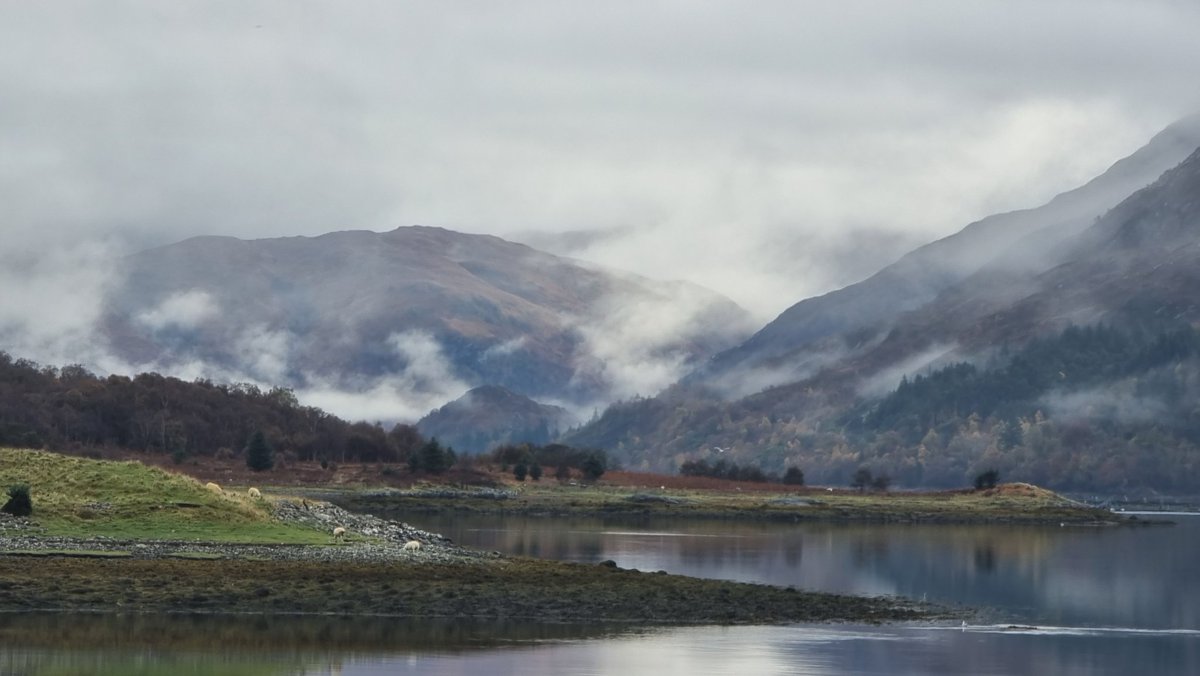 doctorcaldwell's tweet photo. Misty morning in Ballachulish @GeoffCardwell @DrFulli @CarolynFahm https://t.co/tPlWBaUqAu