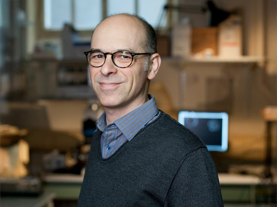 Institut Curie (@institut_curie) on Twitter photo ๐ Congrats to Dr. Pascal Silberzan, research team leader at <a href="/institut_curie/">Institut Curie</a> (<a href="/CNRS/">CNRS ๐</a> / <a href="/Sorbonne_Univ_/">Sorbonne Universitรฉ</a>), elected Fellow of the <a href="/APSphysics/">American Physical Society</a>, in the Division of Biological Physics. This distinction recognizes his innovative contributions to the physics of life. ๐ Congrats to Dr. Pascal Silberzan, research team leader at <a href="/institut_curie/">Institut Curie</a> (<a href="/CNRS/">CNRS ๐</a> / <a href="/Sorbonne_Univ_/">Sorbonne Universitรฉ</a>), elected Fellow of the <a href="/APSphysics/">American Physical Society</a>, in the Division of Biological Physics. This distinction recognizes his innovative contributions to the physics of life.