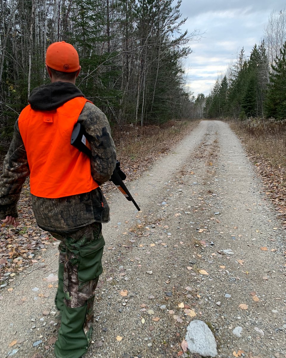 TIKKA CANADA tweet media