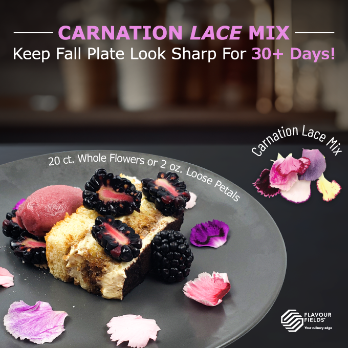FlavourFields's tweet photo. Meet Carnation Lace Mix, they  not only looks great, but also stays fresh for up to 30 days. 🎉🌸

● Use: Decorative
● Shelf Life: Up to 30 days

Visit: https://t.co/Fa0EZAWIl7  
         https://t.co/VrJNtCyYF0 https://t.co/Ddr1KCn4Zb