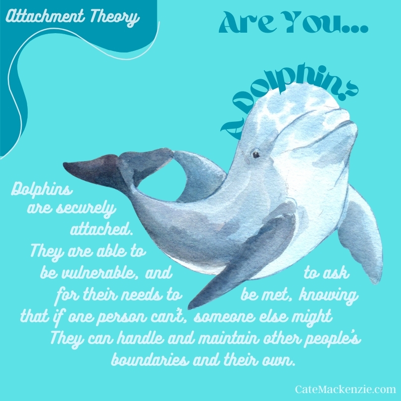 Cate Mackenzie (she/her) tweet media