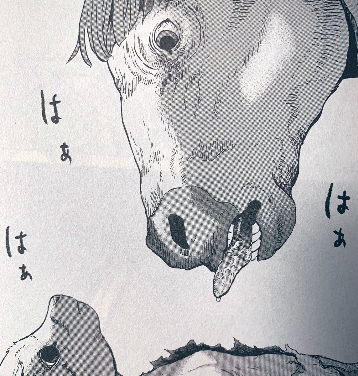 動物人間2巻は明日発売です!
お待たせし過ぎた罰でしょうか、扁桃腺が腫れてきました😉 