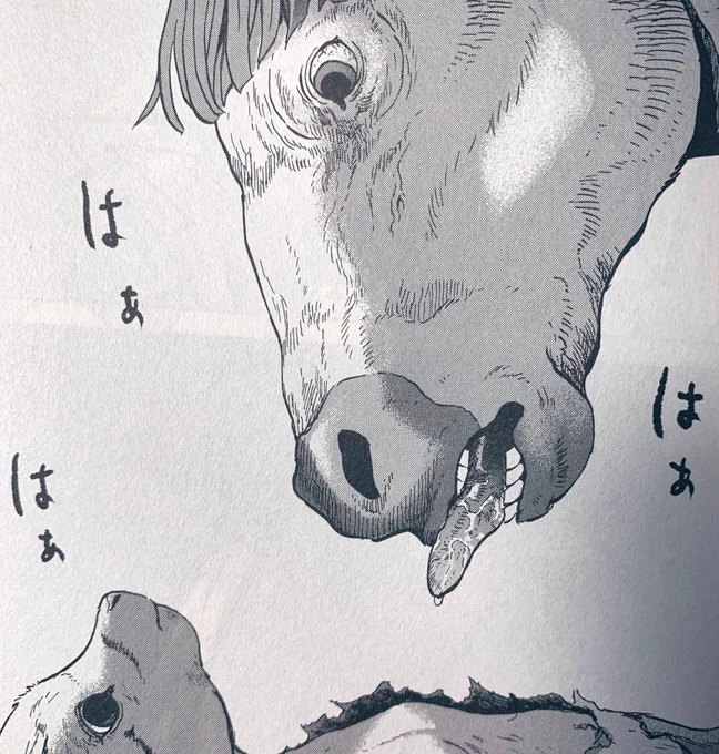 動物人間2巻は明日発売です!
お待たせし過ぎた罰でしょうか、扁桃腺が腫れてきました😉 
