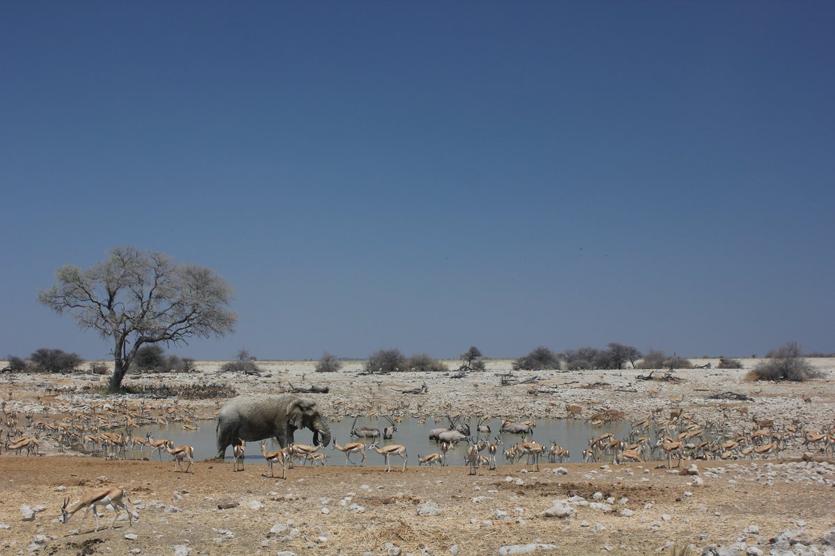 Fonds français pour l'environnement mondial (FFEM) tweet media