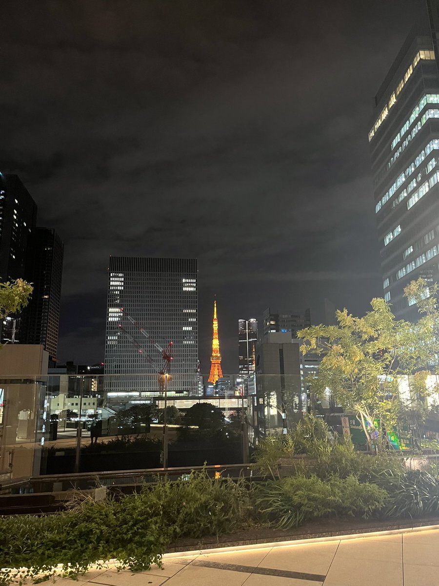 終わったから呟けるけど試験2週間に竹芝のタリーズが最高ってことを見つけて、最後通ってた🙂‍↕️
タリーズの帰り道から見える🗼毎回撮ってた🙂‍↕️もうここで勉強しないの逆に物足りなくて寂しい🙂‍↕️毎回飲んでたハニーミルクラテ飲みたすぎて今日も飲んじゃった🙂‍↕️