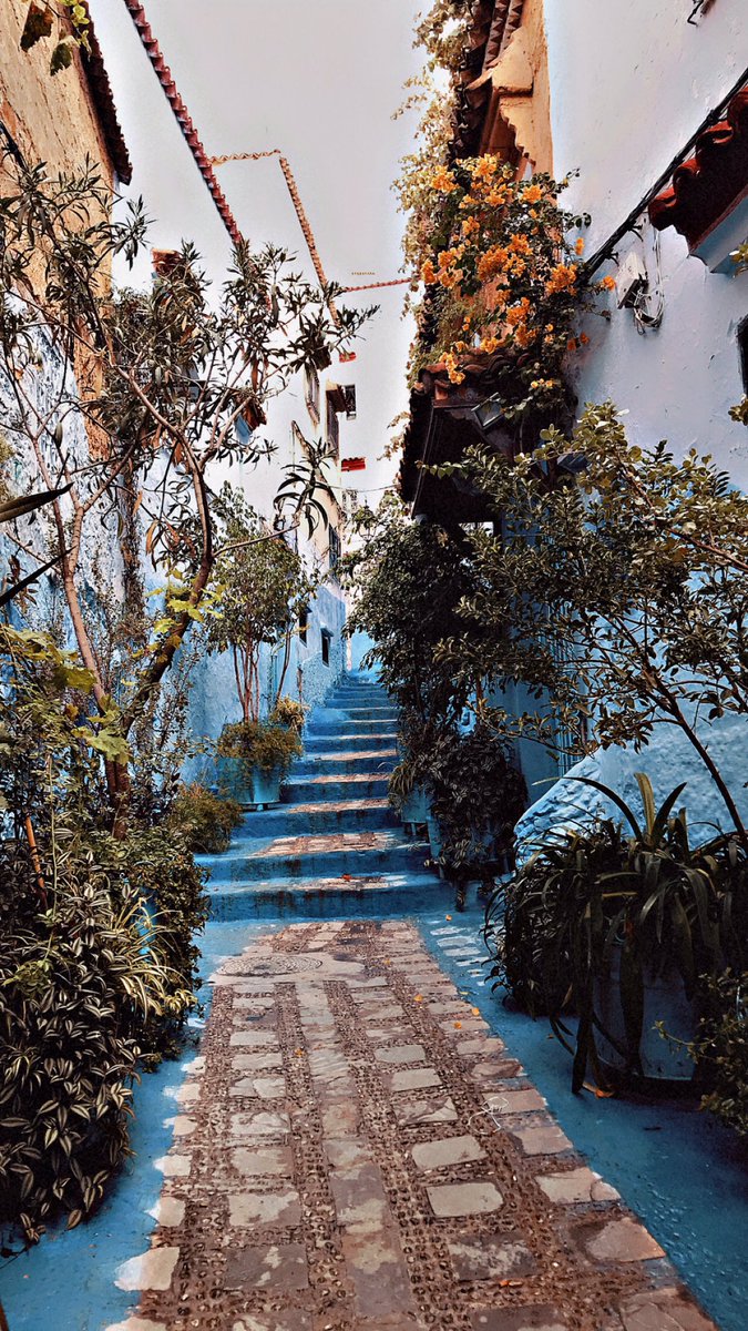 Tolisso22's tweet photo. Meine Heimatstadt 💙🇲🇦 

#chefchaouen #Maroc https://t.co/HFbmF0KOSb