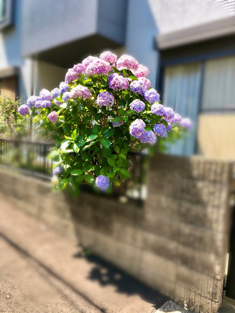 あなたは美しい🥰🎉