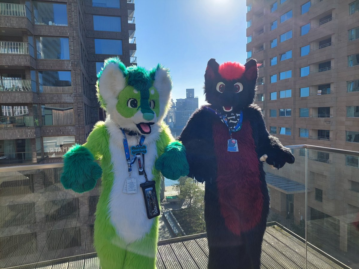 Blissythefox's tweet photo. I had an absolute amazing time at the con @reffurence it was really well done, met some new lovely friends and seen others back ^w^ and i cant wait for next year! 

Suiters: me and @ArduWolf 
🪡: @FoxKumo 

#fursuit #fursuiter #Convention https://t.co/hkbhji59Nj