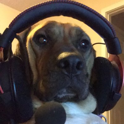 moochiWZ's tweet photo. #NewProfilePic https://t.co/vAb0t3nSu8